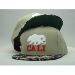 California Republic Snapback Hat ZY