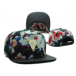 HATER Snapback Hat SF 2 0721