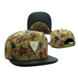 HATER Snapback Hat SF 4 0721