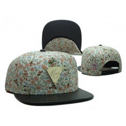 HATER Snapback Hat SF 3 0701