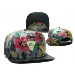 HATER Snapback Hat SF 10 0701
