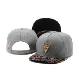 HATER Grey Snapback Hat TY 0613