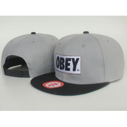 Obey Grey Snapback Hat LS
