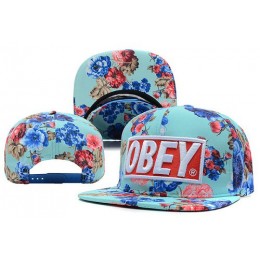 Obey Snapbacks Hat XDF 13