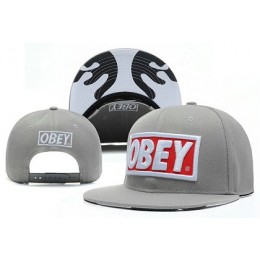 Obey Snapback Hat X-DF Grey