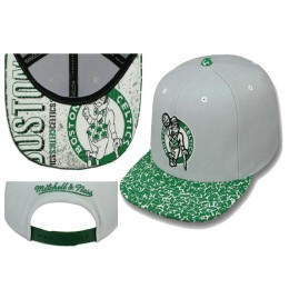 Boston Celtics Grey Snapback Hat LS