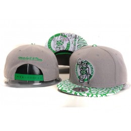Boston Celtics Grey Snapback Hat YS