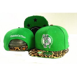 Boston Celtics Hat GF 150426 29