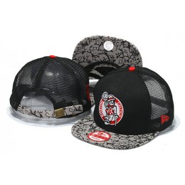 Boston Celtics Mesh Snapback Hat YS 0512