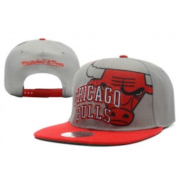 Chicago Bulls Grey Snapback Hat XDF 5