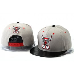Crazy Bulls Grey Snapback Hat YS 1 0528