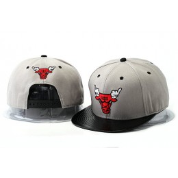 Crazy Bulls Grey Snapback Hat YS 2 0528