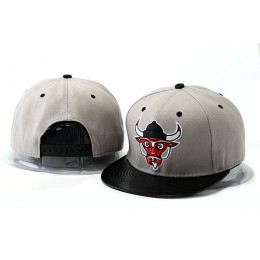Crazy Bulls Grey Snapback Hat YS 3 0528