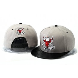 Crazy Bulls Grey Snapback Hat YS 4 0528