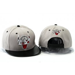 Crazy Bulls Grey Snapback Hat YS 0528