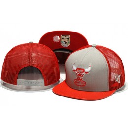 Chicago Bulls Mesh Snapback Hat YS 2 0701