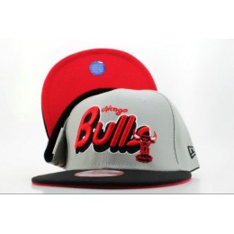 Chicago Bulls Grey Snapback Hat QH 1