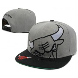 Chicago Bulls Grey Snapback Hat SD