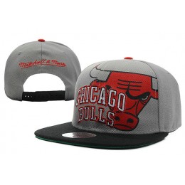 Chicago Bulls Grey Snapback Hat XDF 4