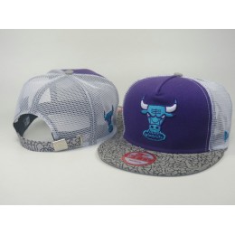 Chicago Bulls Mesh Snapback Hat LS 0613