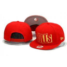 Chicago Bulls Snapback Hat YS 0613