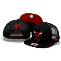 Chicago Bulls Snapback Hat YS B 140802 09