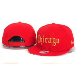 Chicago Bulls New Snapback Hat YS E36