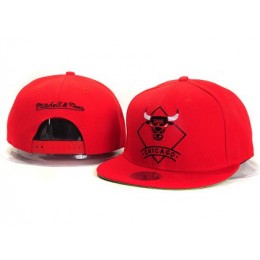 Chicago Bulls New Type Snapback Hat YS5616