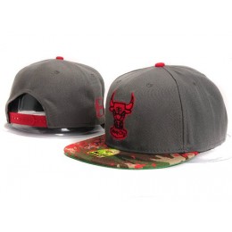 Chicago Bulls NBA Snapback Hat YS267