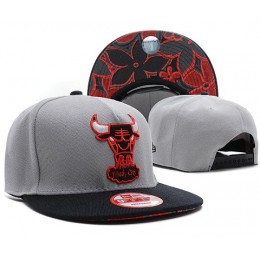 Chicago Bulls NBA Snapback Hat SD31