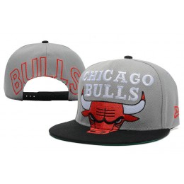 Chicago Bulls Grey Snapback Hat XDF 2