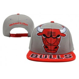 Chicago Bulls Grey Snapback Hat XDF