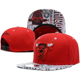 Chicago Bulls Snapback Hat SD 6