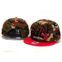 Chicago Bulls Camo Snapback Hat YS