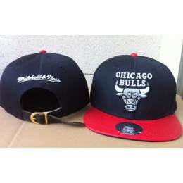 Chicago Bulls Hat 60D 150416 36