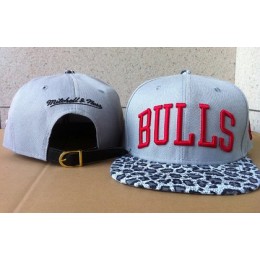 Chicago Bulls Hat 60D 150416 37