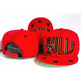 Chicago Bulls Hat GF 150426 21