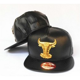 Chicago Bulls Hat SJ 150426 02