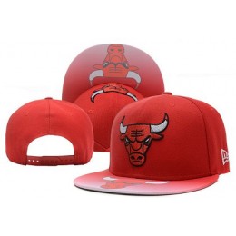 Chicago Bulls Hat XDF 150313 2
