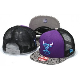 Chicago Bulls Mesh Snapback Hat YS 0512