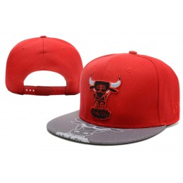 Chicago Bulls Snapback Hat XDF 0512