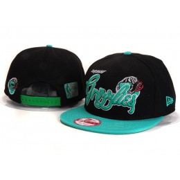 Memphis Grizzlies Snapback Hat YS 7622