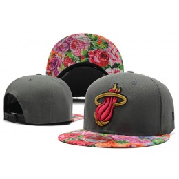 Miami Heat Grey Snapback Hat DF 1 0613