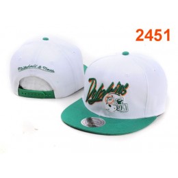 Miami Dolphins NFL Snapback Hat PT60
