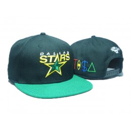 Dallas Stars TISA Snapback Hat DD15