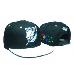 Tampa Bay Lightning TISA Snapback Hat DD12